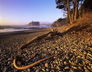 Sea Scape Prints: WA, Olympic NP, Ruby Beach