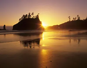 Olympics Prints: WA, Olympic NP, Second Beach at sunset