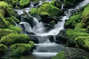 Sol Duc Valley Prints: WA, Olympic NP, Sol Duc Valley, stream with mossy rocks