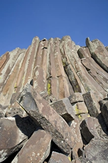 Images Dated 7th May 2009: WA, Othello, Columbia National Wildlife Refuge, columnar basalt formation
