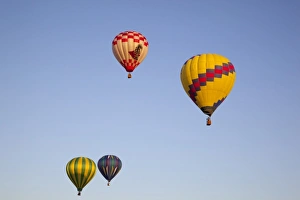 Images Dated 24th September 2011: WA, Prosser, The Great Prosser Balloon Rally, Hot air balloons in flight