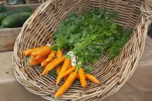 WA, Redmond, Redmond Farmers Market / Redmond Saturday Market