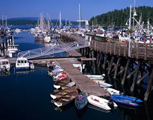 WA, San Juan Island, Friday Harbor Marina with boats and ferry