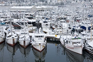 Fishermens Terminal Prints: WA, Seattle, Fishermens Terminal, Fishing boats with snow