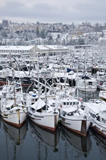 Images Dated 22nd December 2008: WA, Seattle, Fishermens Terminal, Fishing boats with snow