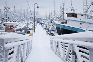 Images Dated 22nd December 2008: WA, Seattle, Fishermens Terminal, Fishing boats with snow