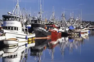 WA, Seattle, Fishing boats moored at Fishermens Terminal