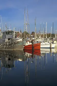 WA, Seattle, Fishing boats moored at Fishermens Terminal
