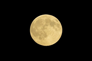 WA, Seattle, Full Moon