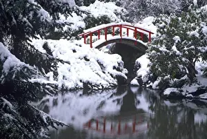 Images Dated 13th May 2011: WA, Seattle, Moon bridge and pond after winter snow storm; Kubota Garden