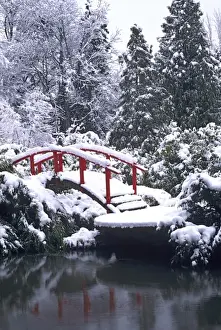 WA, Seattle, Moon bridge and pond after winter snow storm; Kubota Garden