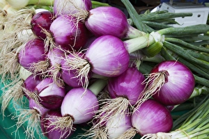 Images Dated 8th August 2010: WA, Seattle, Pike Place Market