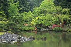 Reflecting Prints: WA, Seattle, Reflecting pool scene, Japanese Garden
