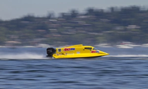 Images Dated 5th August 2012: WA, Seattle, Seafair, Formula One (F1) Outboard Racing Boats, Lake Washington