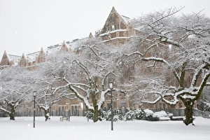 College Prints: WA, Seattle, University of Washington, the Quad, covered in fresh snow