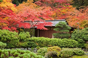 WA, Seattle, Washington Park Arboretum, Japanese Garden, tea house