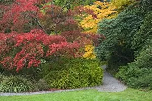 Images Dated 18th October 2006: WA, Seattle, Washington Park Arboretum, Pathway with autumn colors