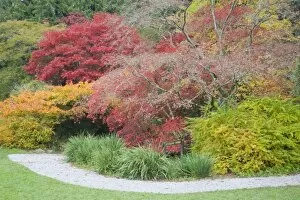 Images Dated 29th October 2007: WA, Seattle, Washington Park Arboretum, Woodland Garden