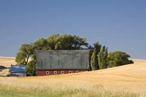 WA, Spokane County, The Palouse, Red barn and harvested fields