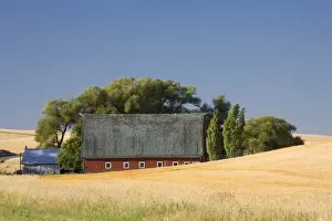Farm Land Prints: WA, Spokane County, The Palouse, Red barn and harvested fields