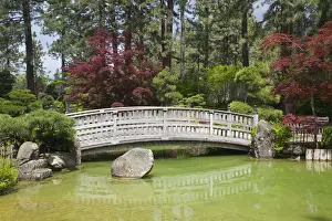 Images Dated 15th June 2011: WA, Spokane, Manito Park, Nishinomiya Japanese Garden