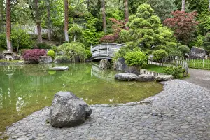 Images Dated 15th June 2011: WA, Spokane, Manito Park, Nishinomiya Japanese Garden