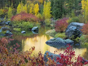 Tumwater Canyon Prints: WA, Tumwater Canyon, Autumn reflection