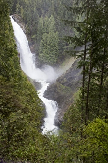 Public Lands Prints: WA, Wallace Falls State Park, Wallace Falls, Wallace River plunges 250 feet