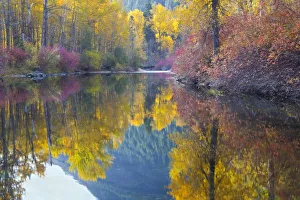 Images Dated 23rd October 2010: WA, Wenatchee National