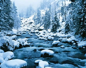 Images Dated 13th May 2011: WA, Wenatchee National Forest, Cascade Mountains, Icicle Creek with a blanket of
