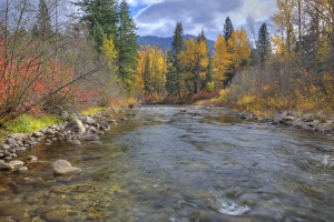 Nason Creek Prints: WA, Wenatchee National Forest, Nason Creek