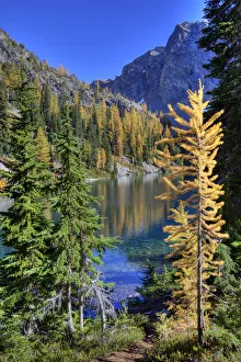 Images Dated 2nd October 2010: WA, Wenatchee NF; Blue Lake with golden larch trees