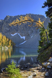 Images Dated 2nd October 2010: WA, Wenatchee NF; Blue Lake with golden larch trees