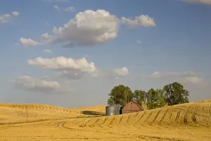 Images Dated 7th September 2007: WA, Whitman County, The Palouse, Barn with grain silos and harvested wheat field