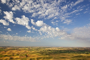 Images Dated 2nd August 2011: WA, Whitman County, Palouse Farmland, view from Steptoe Butte