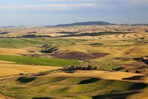 Images Dated 1st August 2011: WA, Whitman County, Palouse Farmland, view from Steptoe Butte