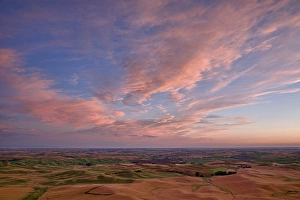 Images Dated 1st August 2011: WA, Whitman County, Palouse Farmland, view from Steptoe Butte