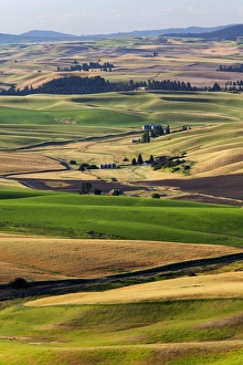 WA, Whitman County, Palouse Farmland, view from Steptoe Butte