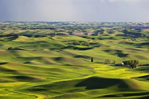 Harvest Prints: WA, Whitman County; view of farmland from Steptoe Butte
