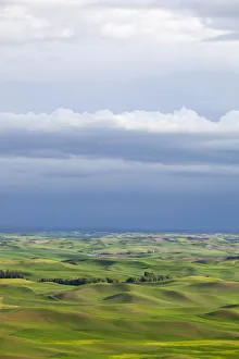Images Dated 15th June 2011: WA, Whitman County; view of farmland from Steptoe Butte