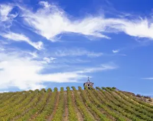 Yakima Valley Prints: WA, Yakima Valley, Red Willow Vineyards with stone chapel