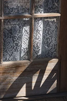 Mystery Prints: Wagon wheel shadows, California