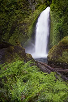 Wahclella Falls along Tanner Creek, Columbia River Gorge, Oregon