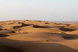 Wahiba Sands desert, Oman