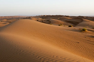 Wahiba Sands desert, Oman