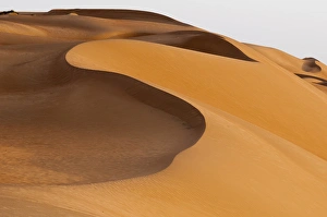 Wahiba Sands desert, Oman