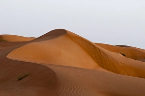 Wahiba Sands desert, Oman