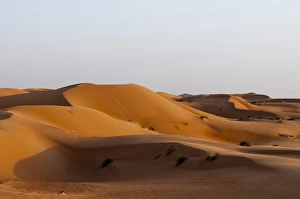 Wahiba Sands desert, Oman