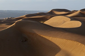 Wahiba Sands desert, Oman