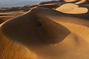 Wahiba Sands desert, Oman